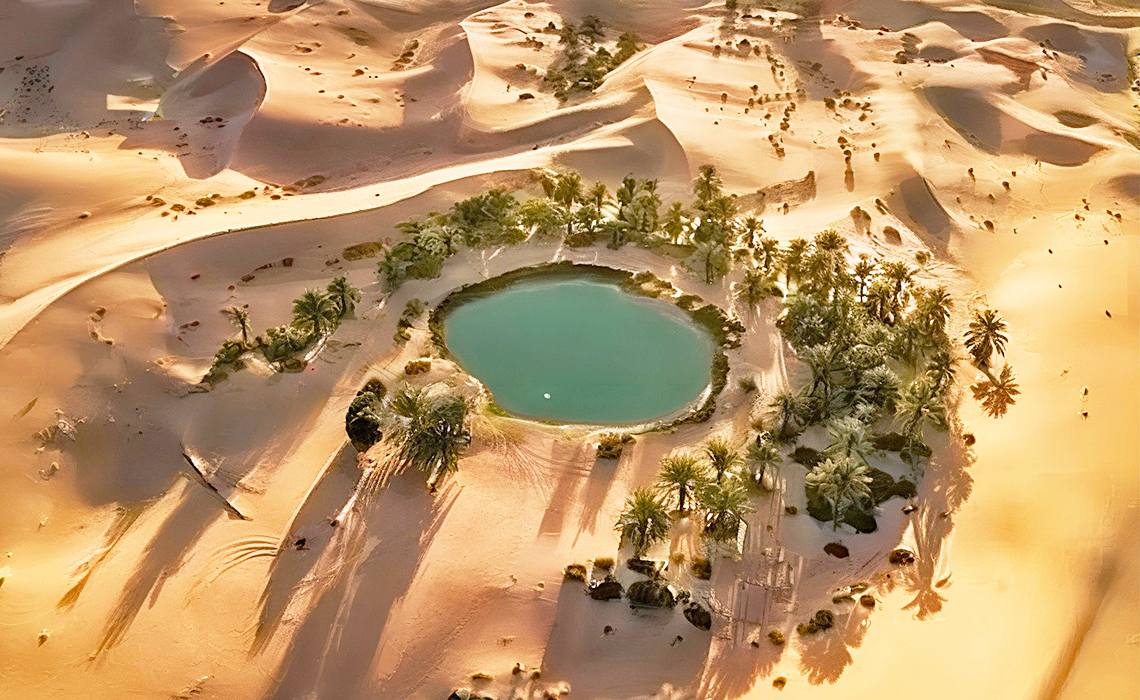 Bahariya Oasis 巴哈利亞綠洲