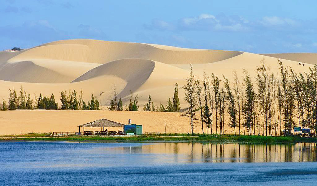 南越-美奈撒哈拉
