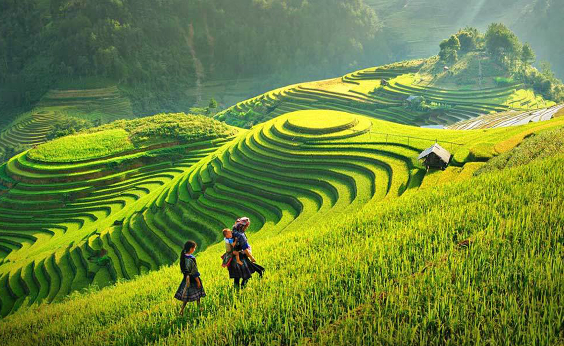絕美梯田踏梅村
