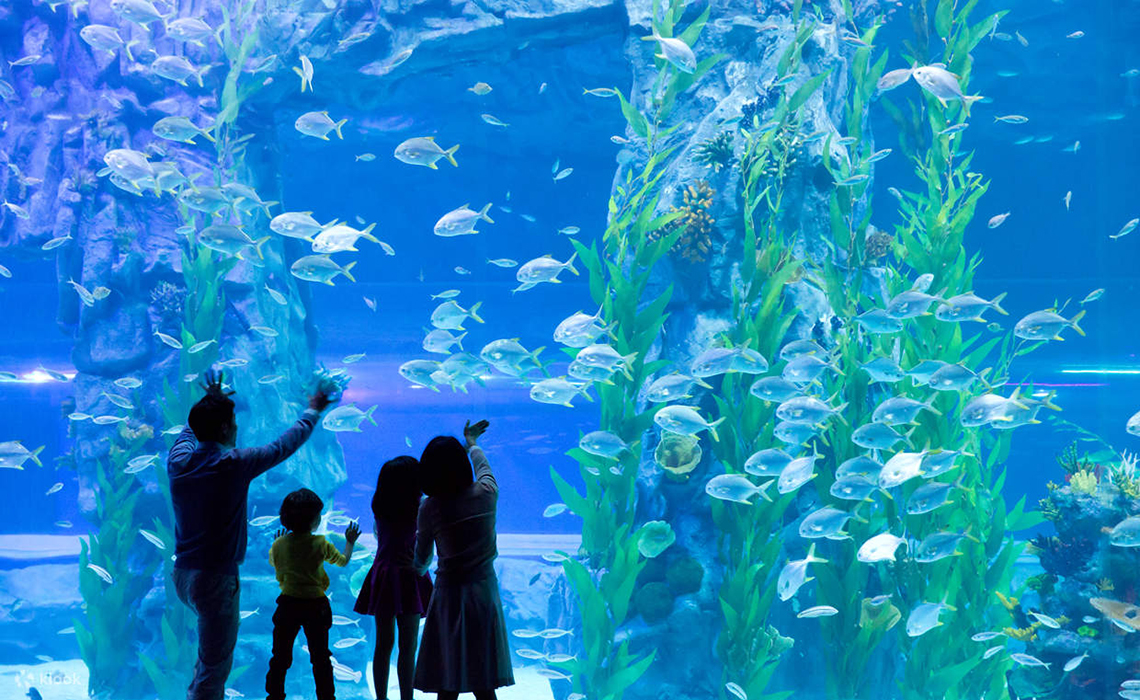 樂天世界水族館