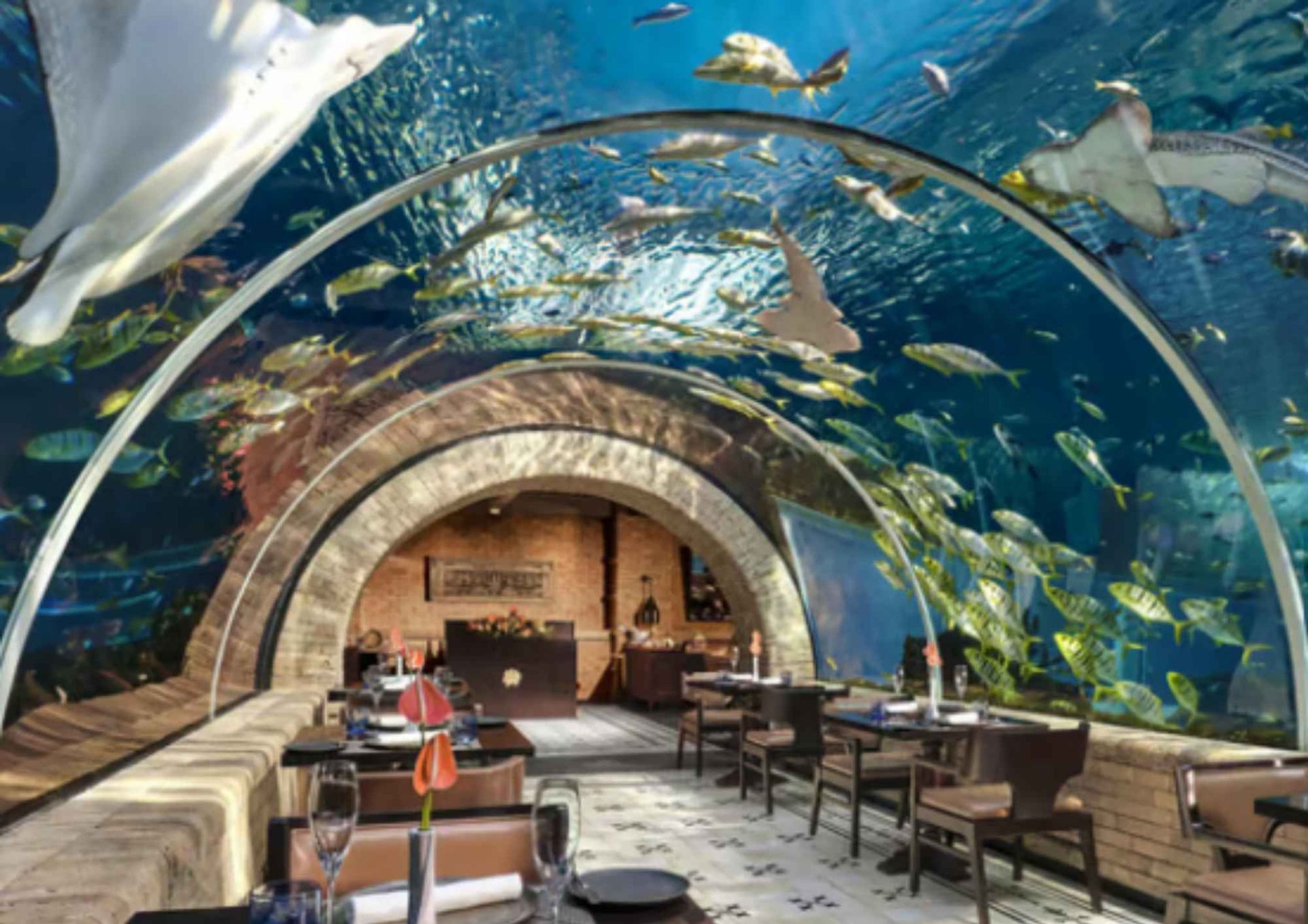 Koral 水族館晚宴