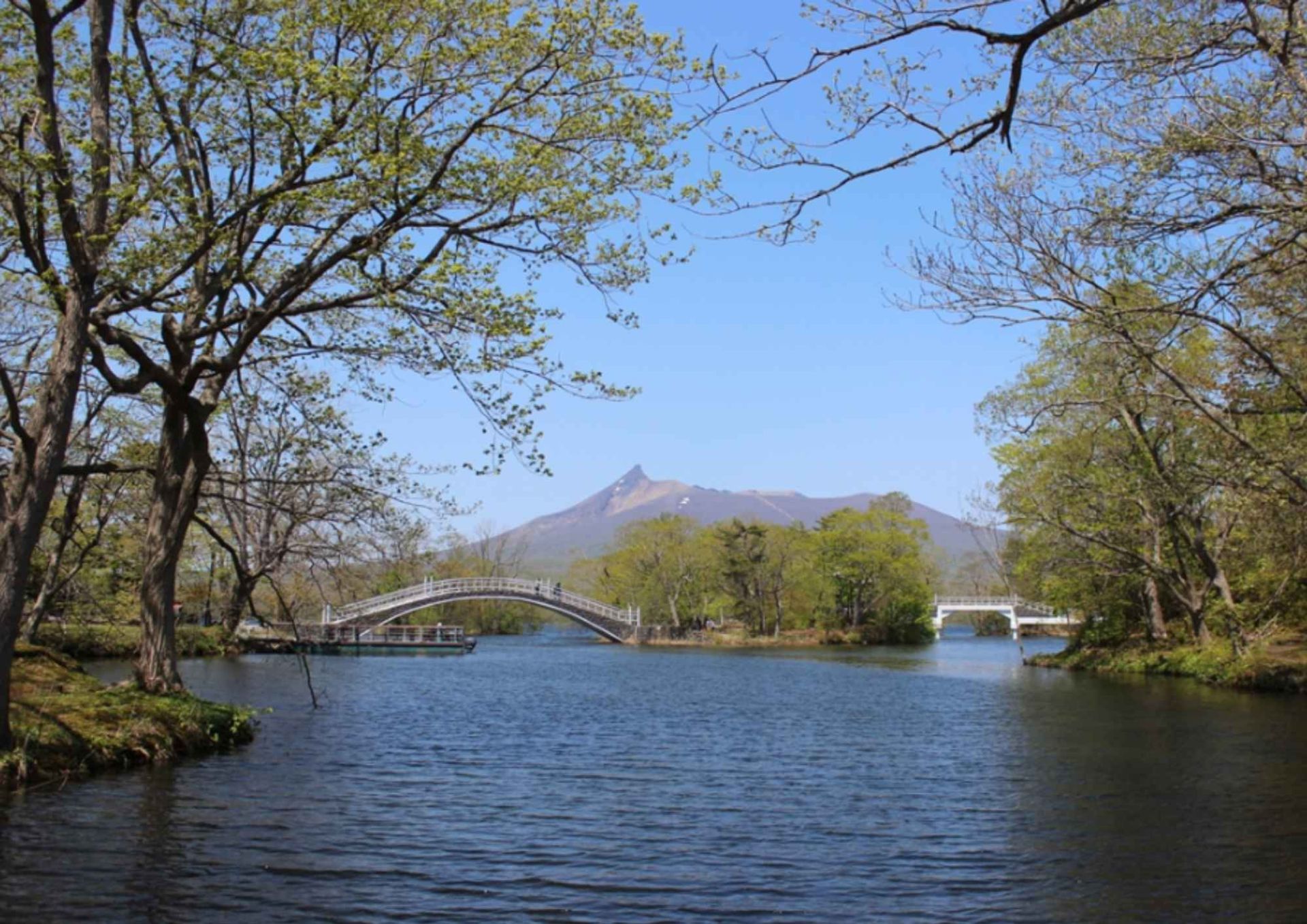 函館朝市與大沼公園