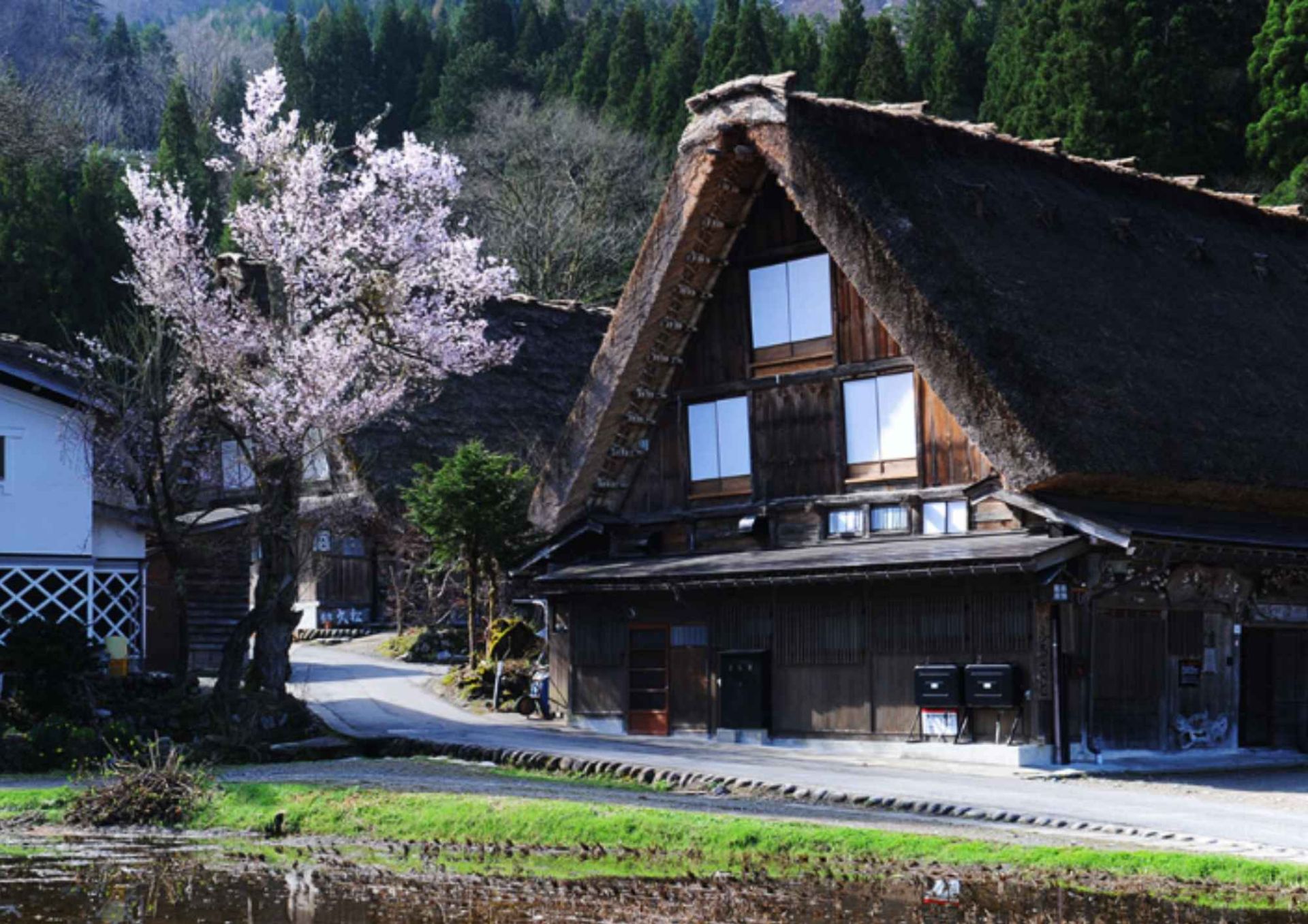 白川鄉合掌村